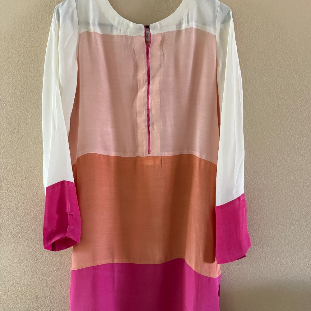 Pakistani/Indian Desi Dress